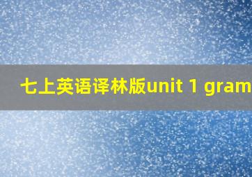 七上英语译林版unit 1 gramme